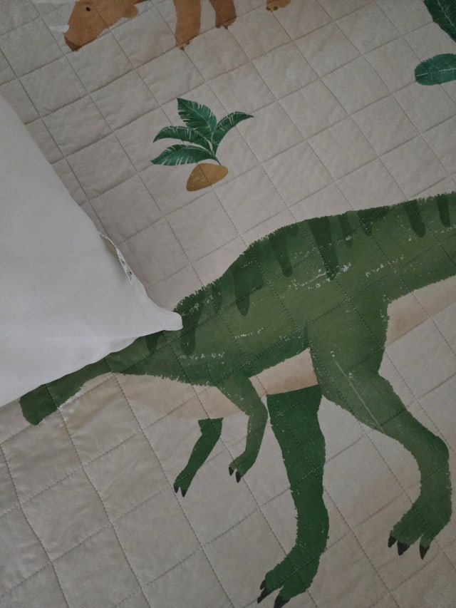 이미지를 찾을 수 없습니다.