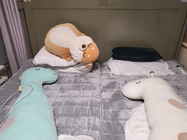 이미지를 찾을 수 없습니다.