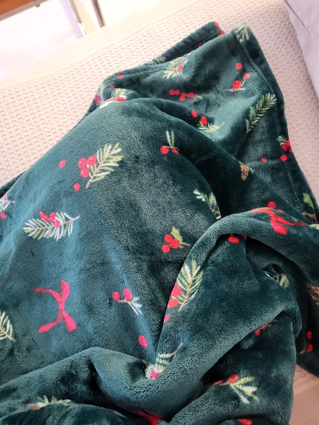 이미지를 찾을 수 없습니다.