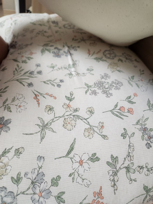 이미지를 찾을 수 없습니다.