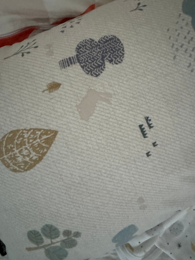 이미지를 찾을 수 없습니다.