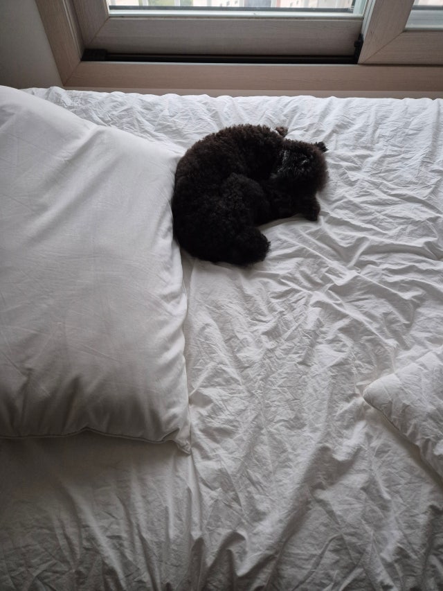 이미지를 찾을 수 없습니다.