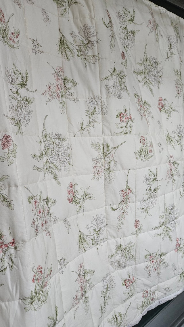 이미지를 찾을 수 없습니다.