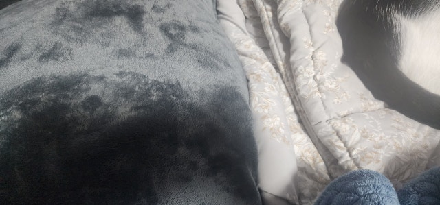 이미지를 찾을 수 없습니다.