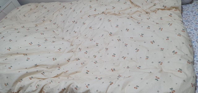 이미지를 찾을 수 없습니다.