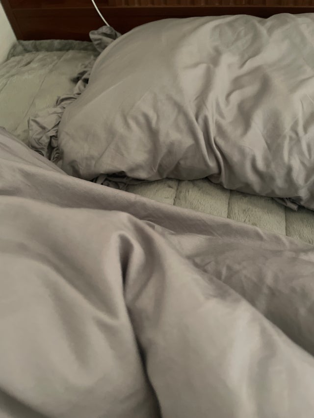 이미지를 찾을 수 없습니다.