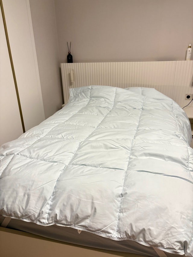 이미지를 찾을 수 없습니다.