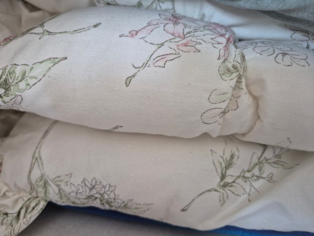 이미지를 찾을 수 없습니다.