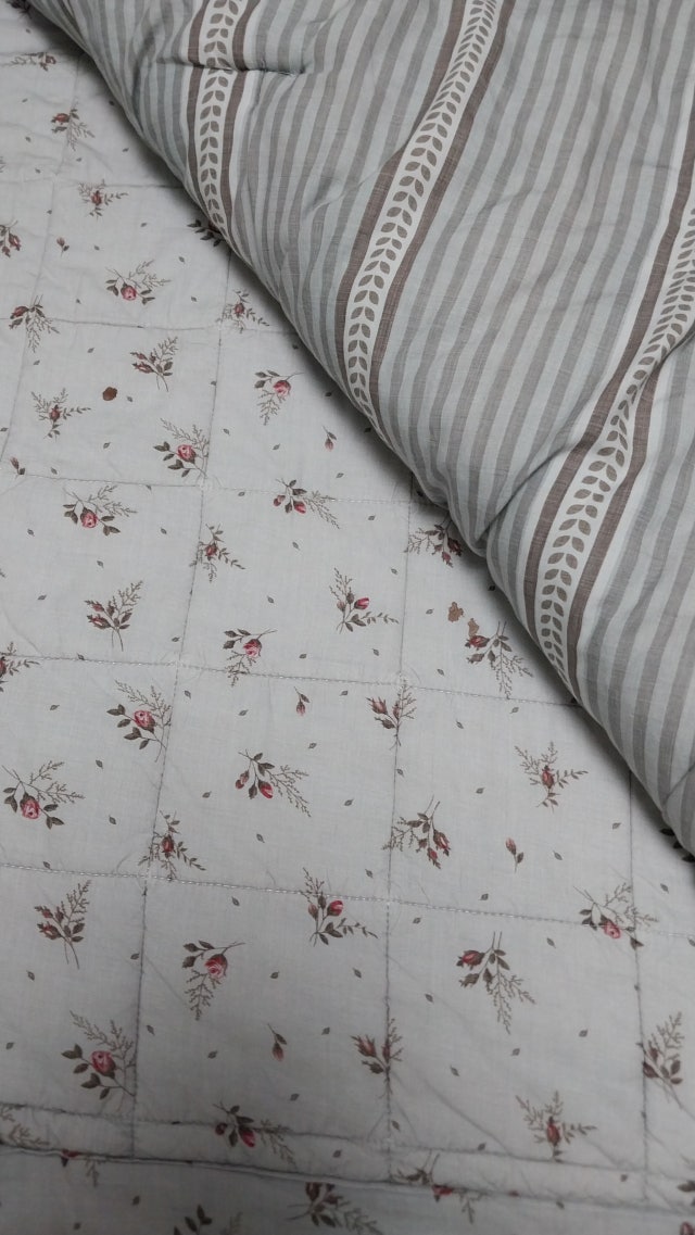 이미지를 찾을 수 없습니다.