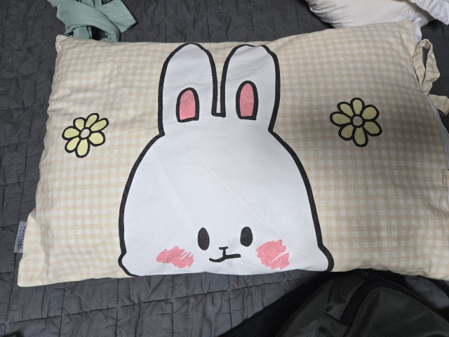 이미지를 찾을 수 없습니다.