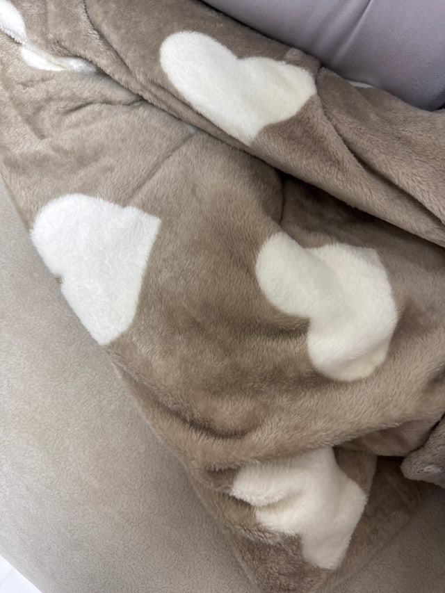 이미지를 찾을 수 없습니다.