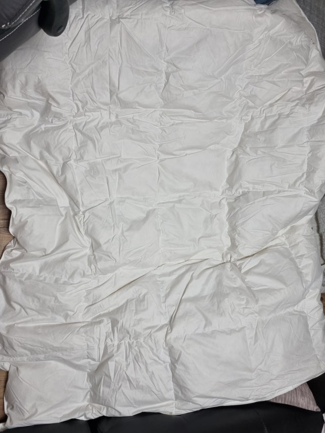 이미지를 찾을 수 없습니다.