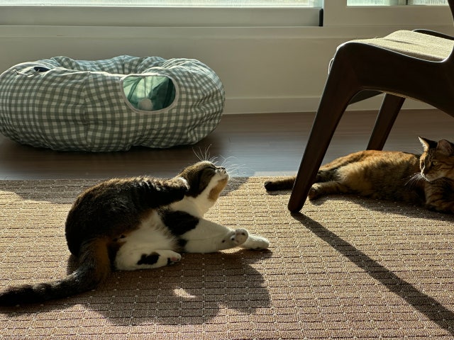 IMG_6555.jpeg?type=w640