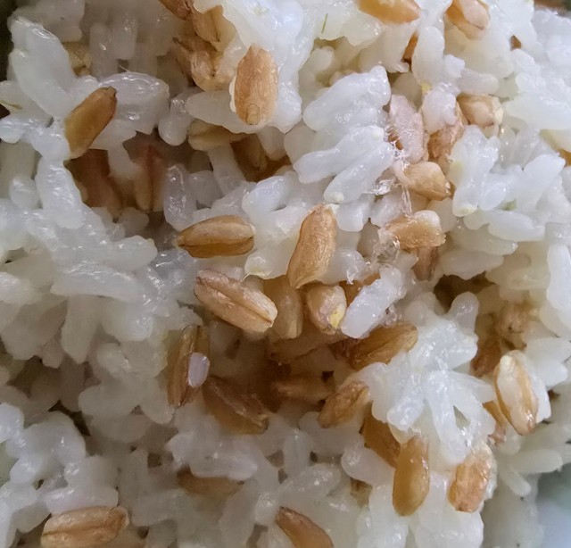 첨부파일