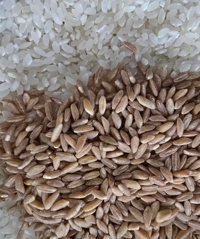 첨부파일