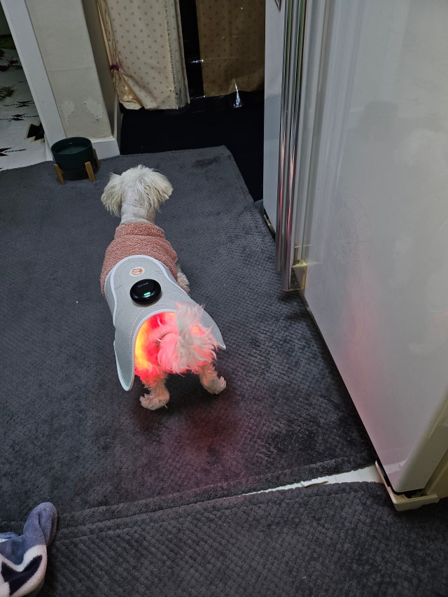 1000008732.jpg?type=w640