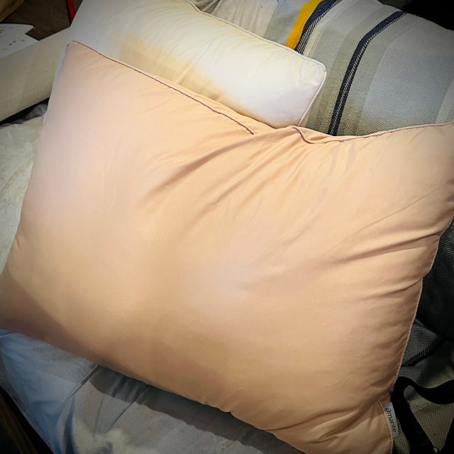 이미지를 찾을 수 없습니다.