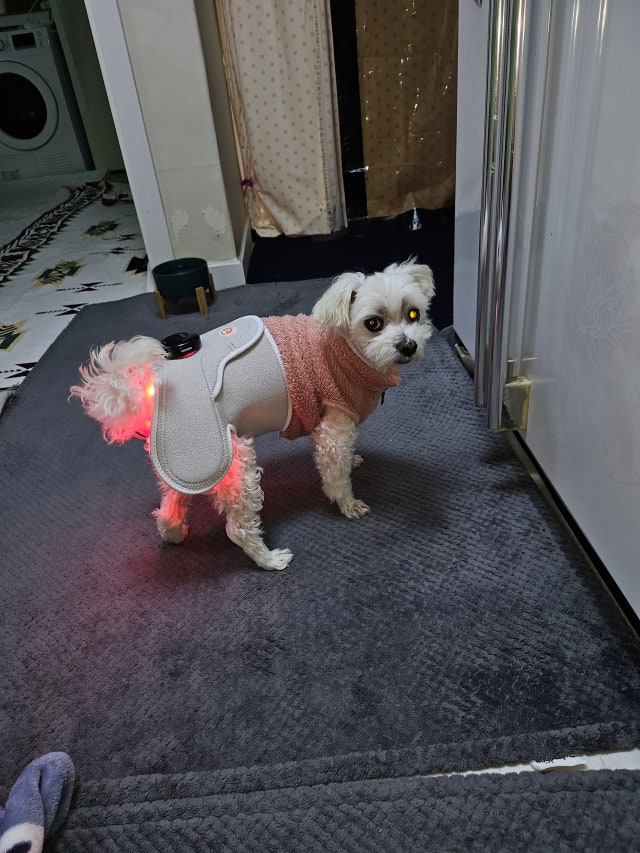 1000008733.jpg?type=w640