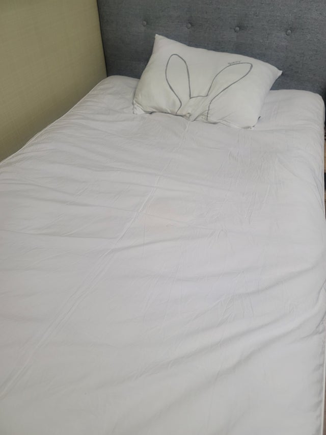 이미지를 찾을 수 없습니다.