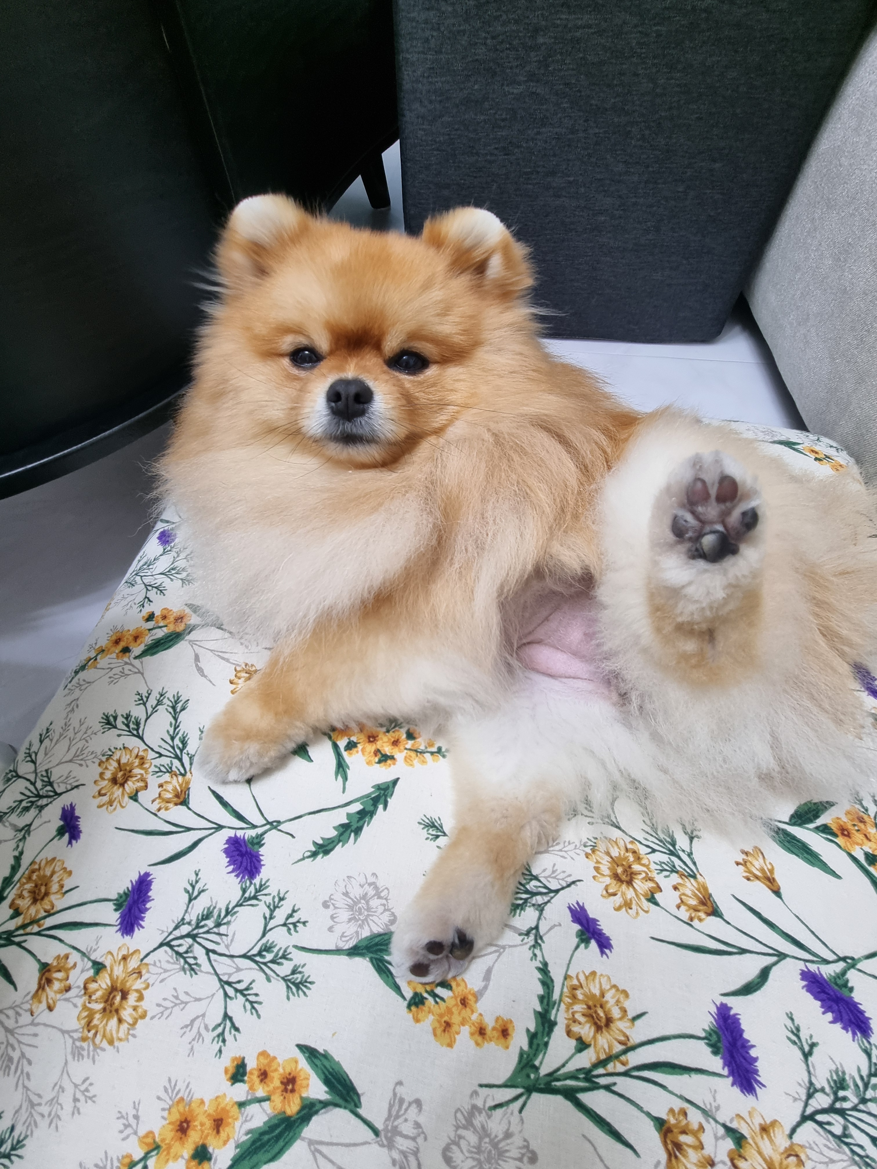리뷰 이미지