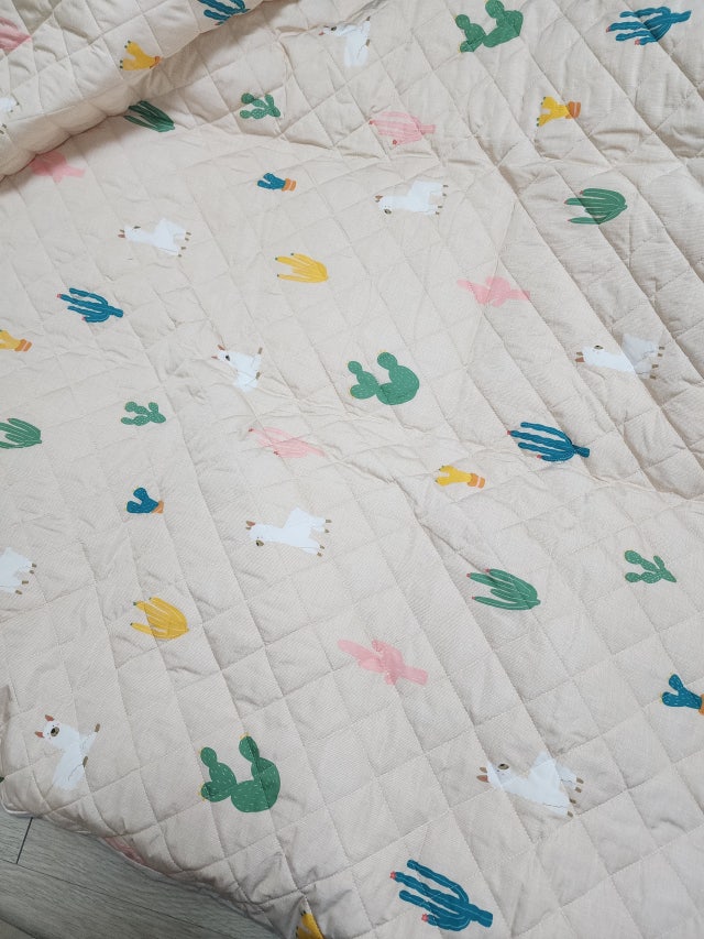 이미지를 찾을 수 없습니다.