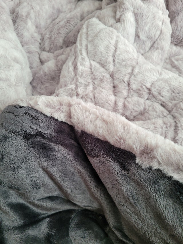 이미지를 찾을 수 없습니다.