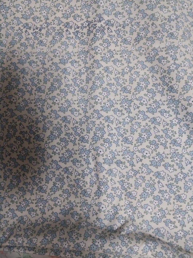 이미지를 찾을 수 없습니다.