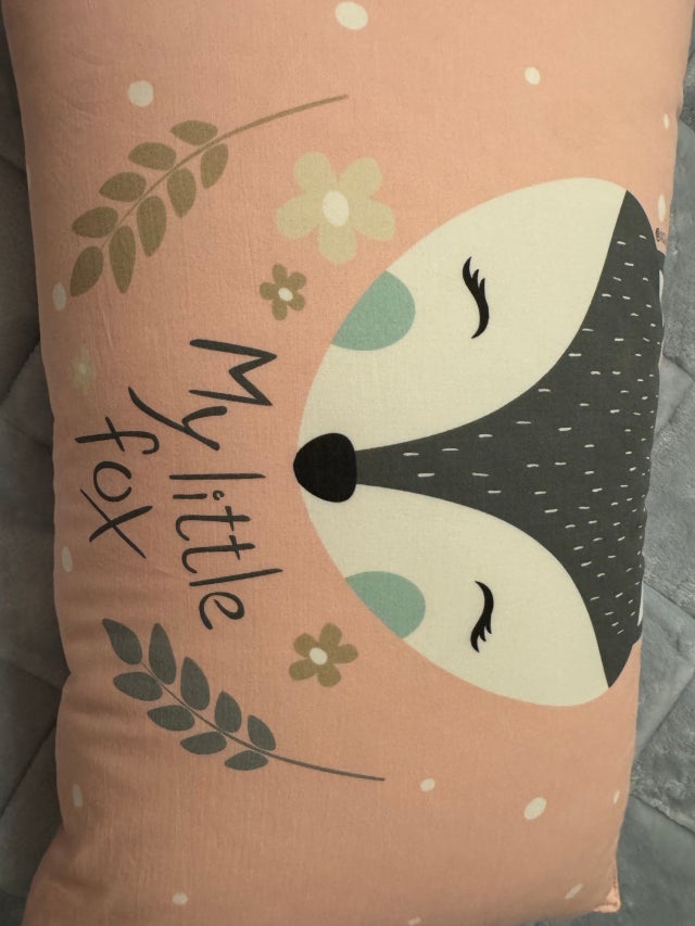 이미지를 찾을 수 없습니다.