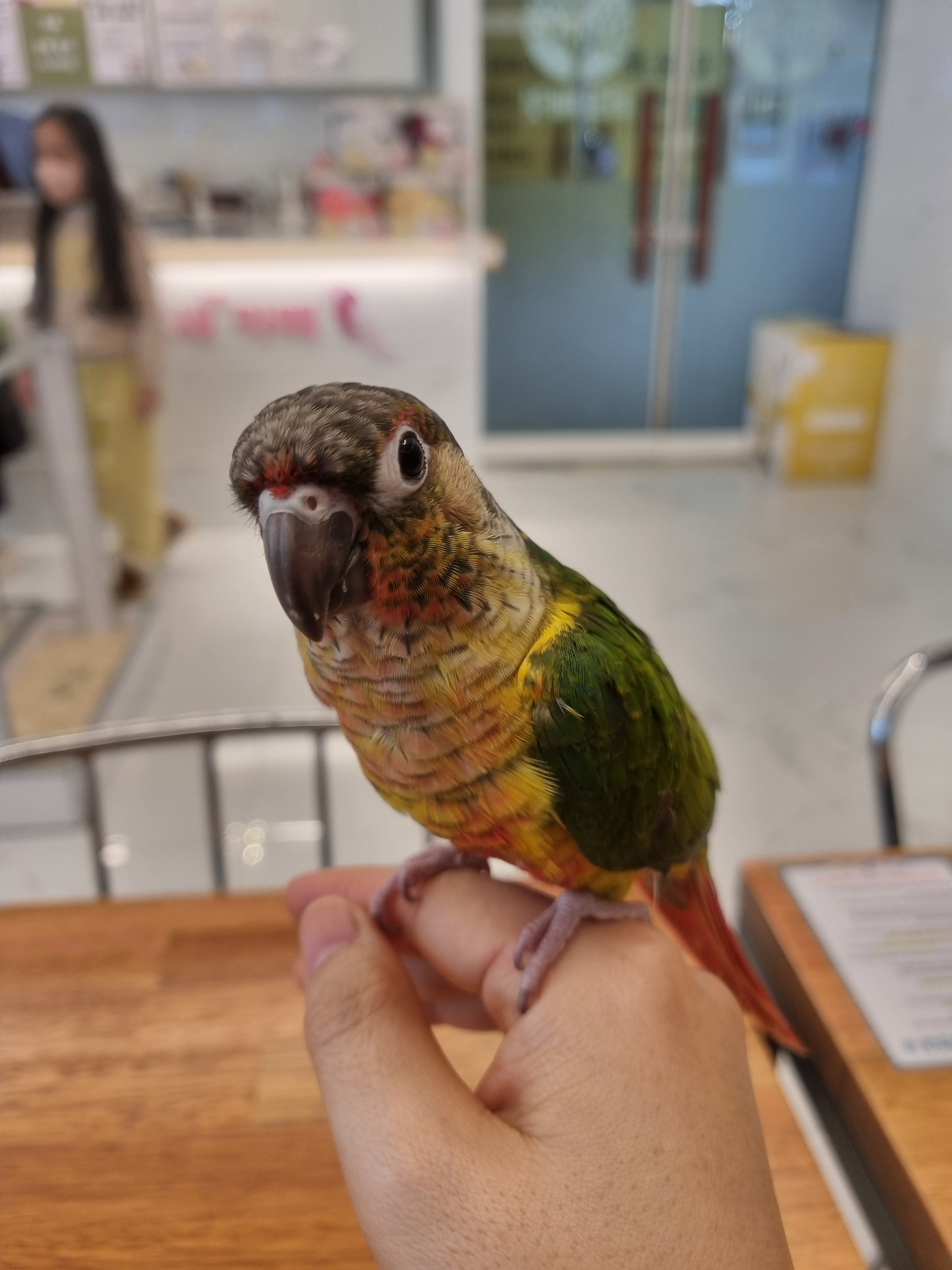 리뷰 이미지