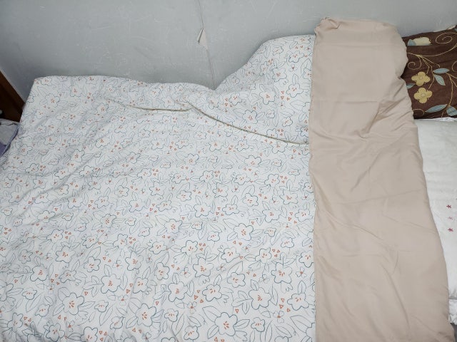 이미지를 찾을 수 없습니다.