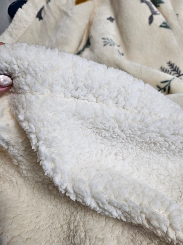 이미지를 찾을 수 없습니다.