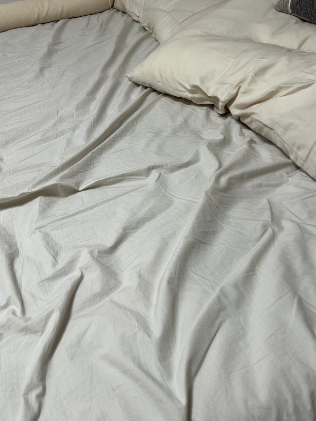 이미지를 찾을 수 없습니다.