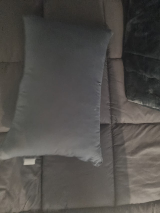 이미지를 찾을 수 없습니다.