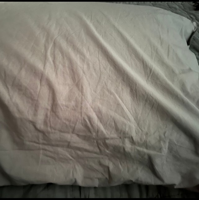 이미지를 찾을 수 없습니다.