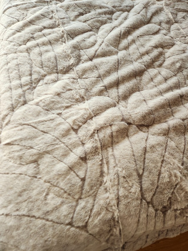 이미지를 찾을 수 없습니다.