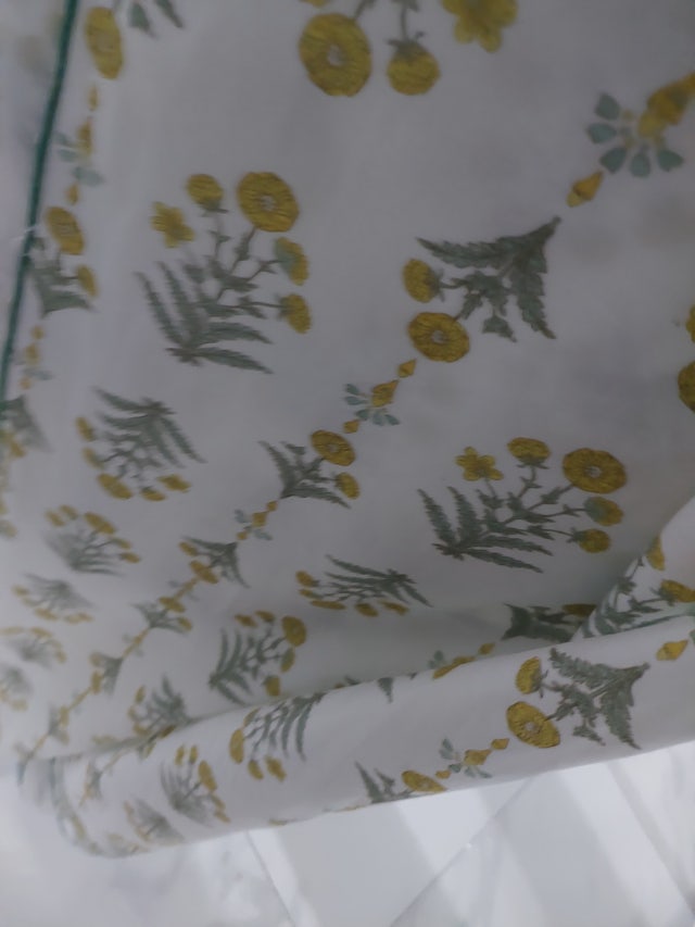 이미지를 찾을 수 없습니다.