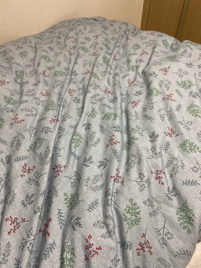 이미지를 찾을 수 없습니다.