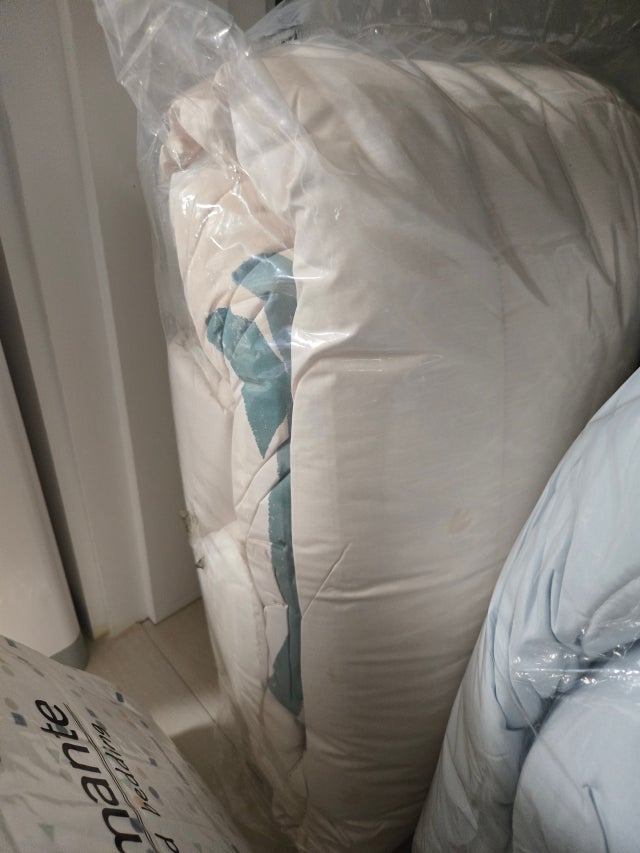 이미지를 찾을 수 없습니다.