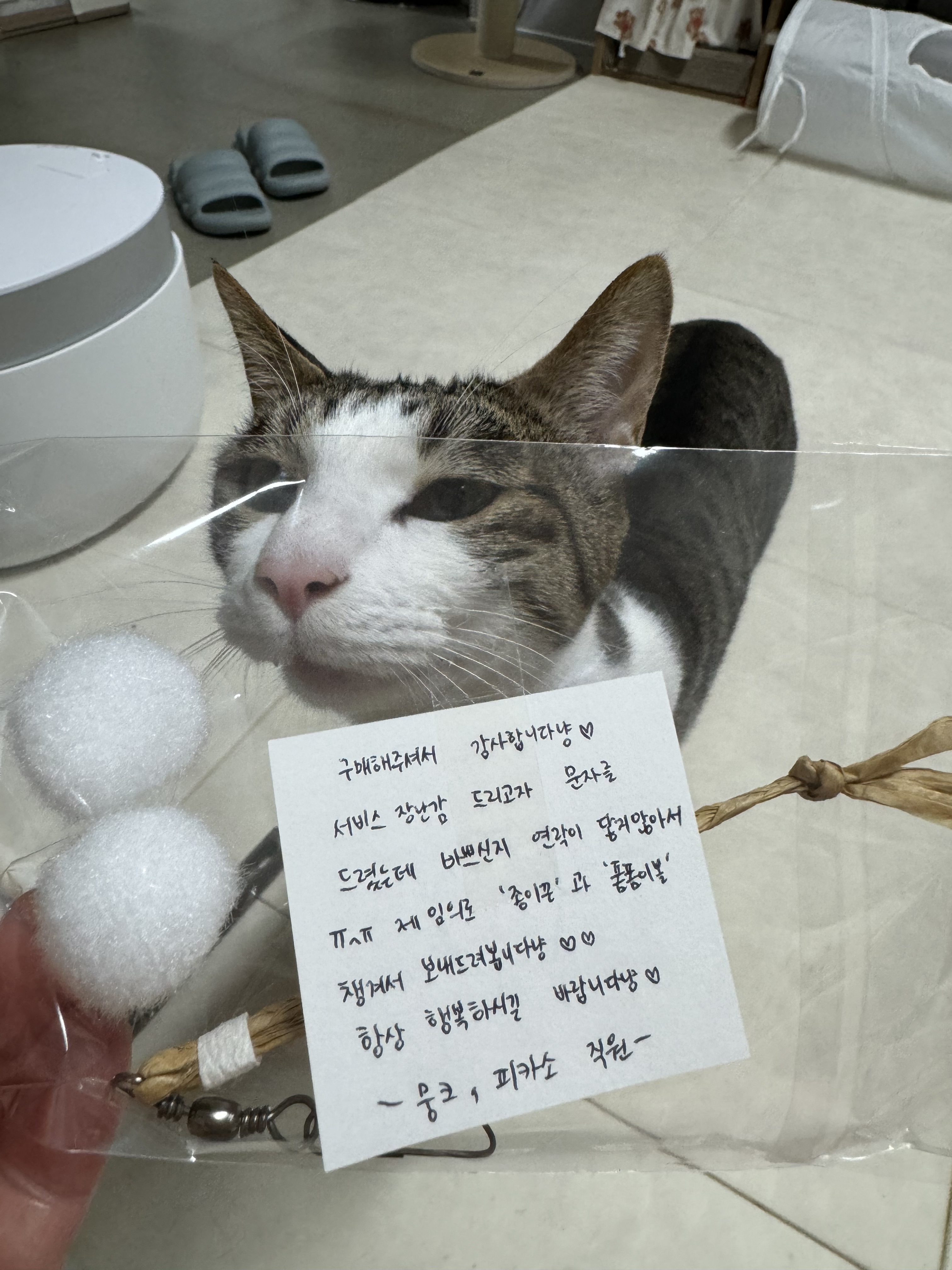 리뷰 이미지
