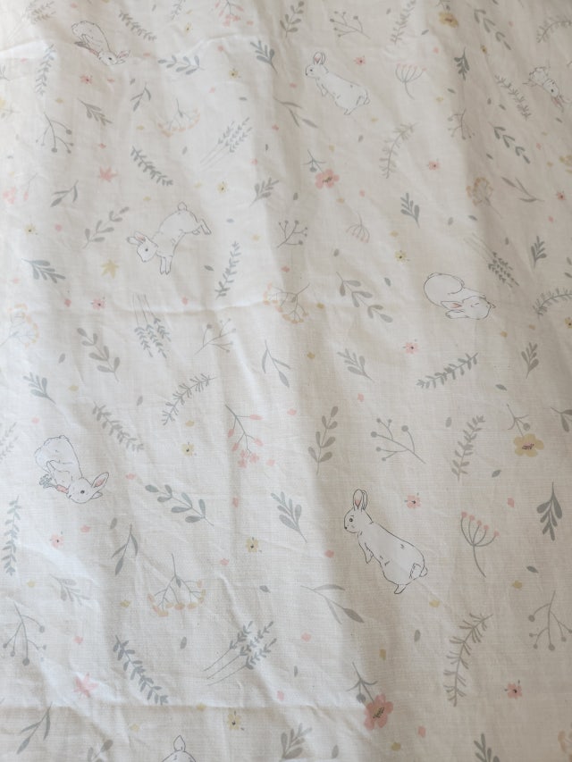 이미지를 찾을 수 없습니다.