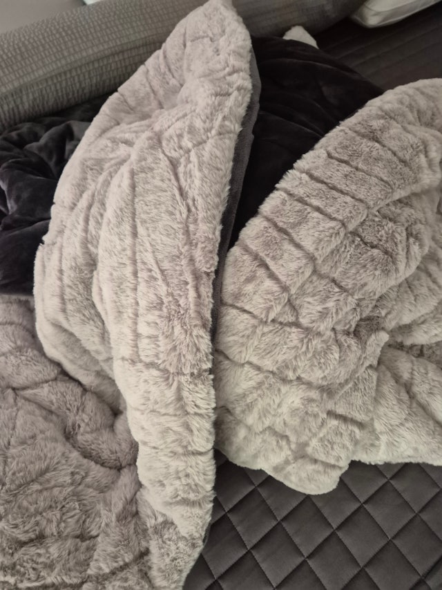 이미지를 찾을 수 없습니다.