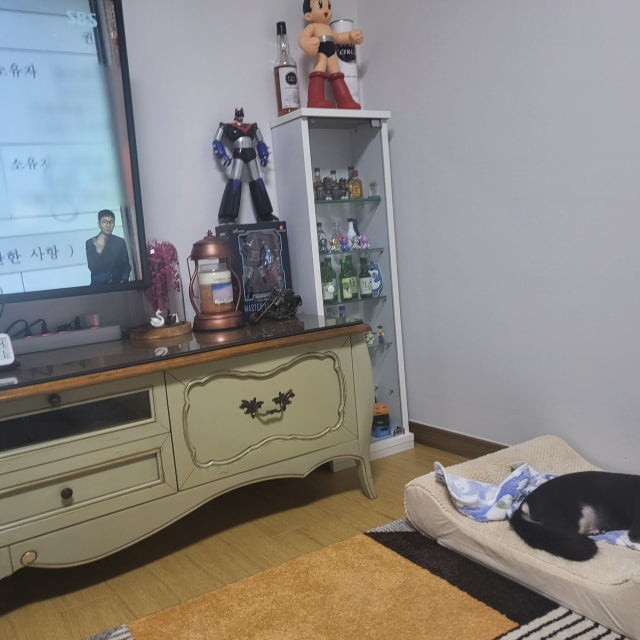제목없음