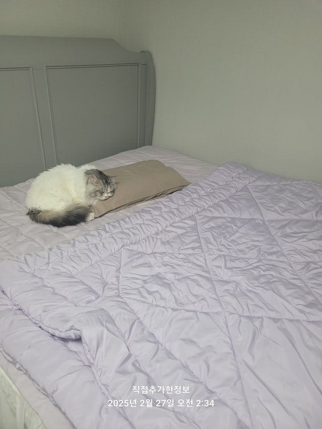 이미지를 찾을 수 없습니다.