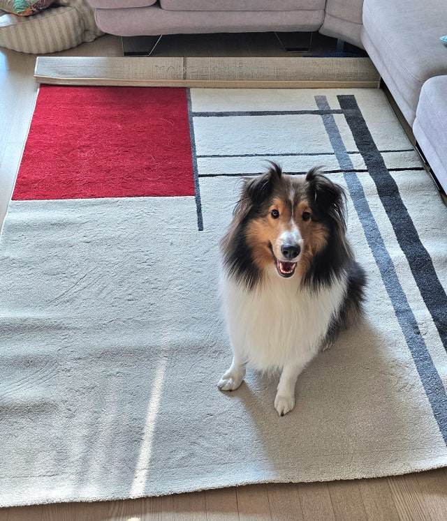 1000047832.jpg?type=w640