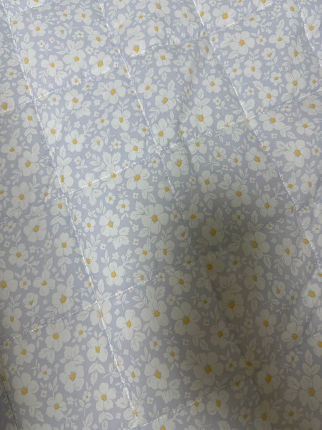 이미지를 찾을 수 없습니다.