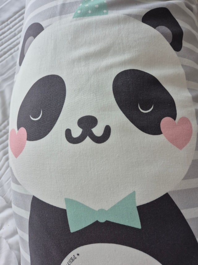 이미지를 찾을 수 없습니다.