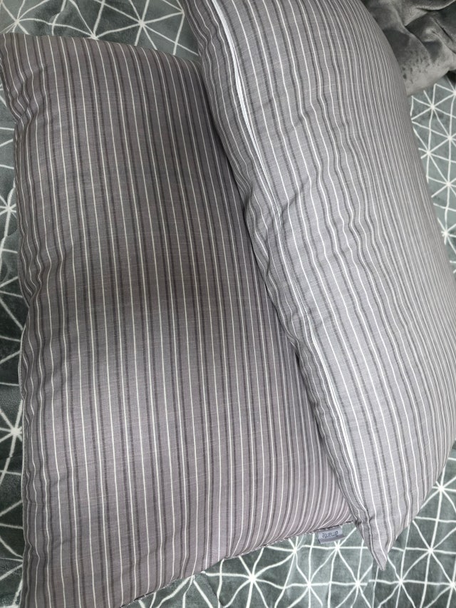 이미지를 찾을 수 없습니다.