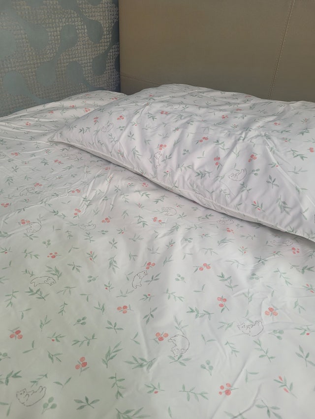 이미지를 찾을 수 없습니다.