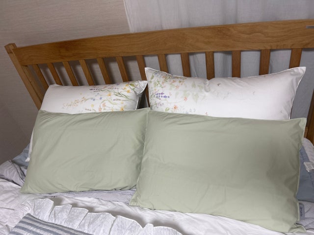 이미지를 찾을 수 없습니다.