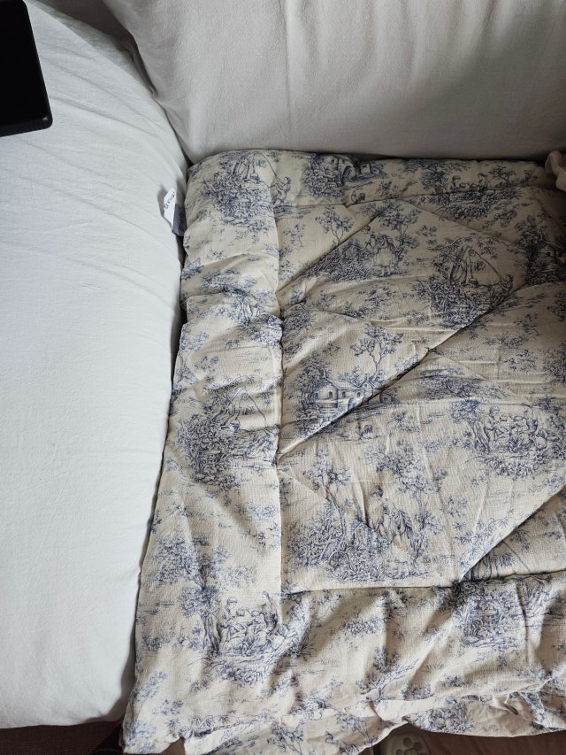 이미지를 찾을 수 없습니다.